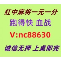 【全神贯注】一元一分红中麻将跑得快群已更新